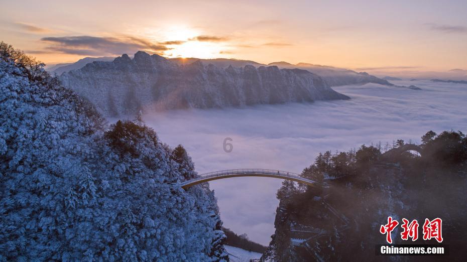 离婚后为什么报复？游戏画面