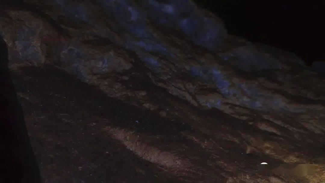 球球大作战下载最新版