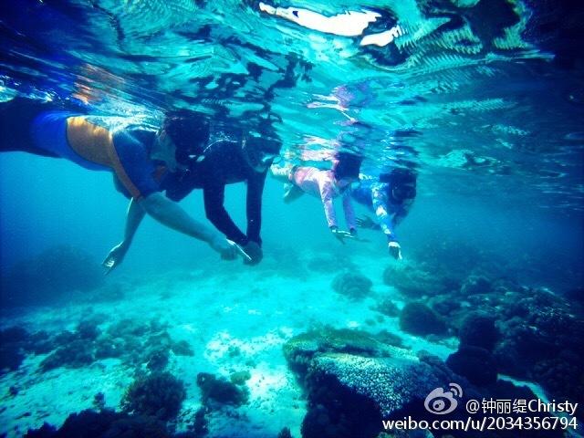 看门狗2