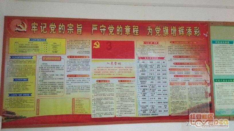 蛇吃金钥匙