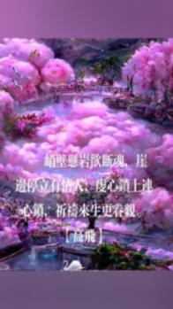 红色系